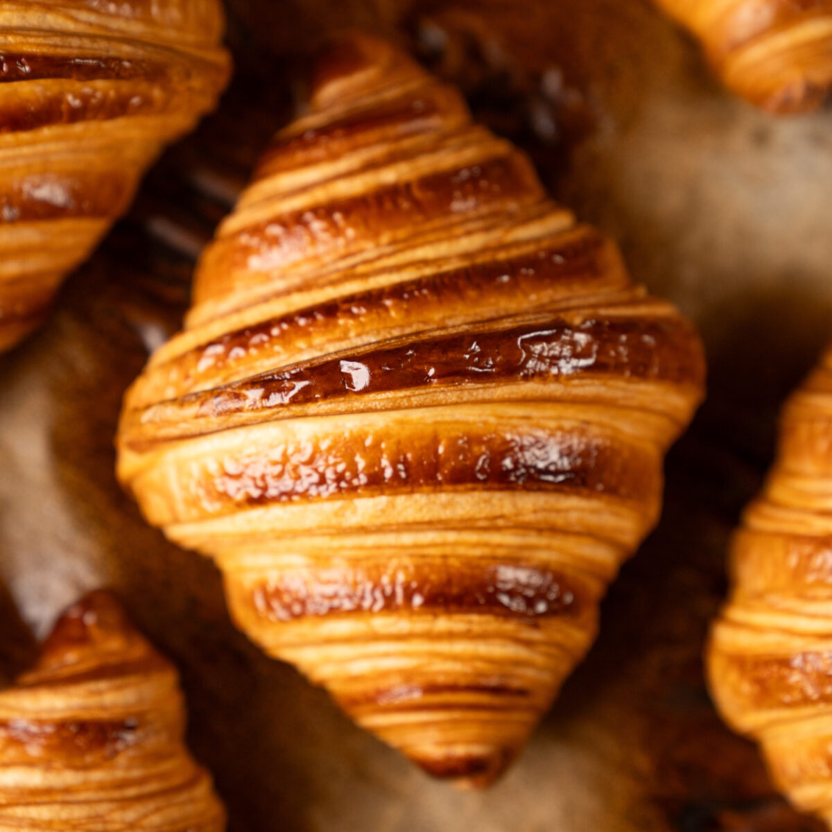 Brioche vuota